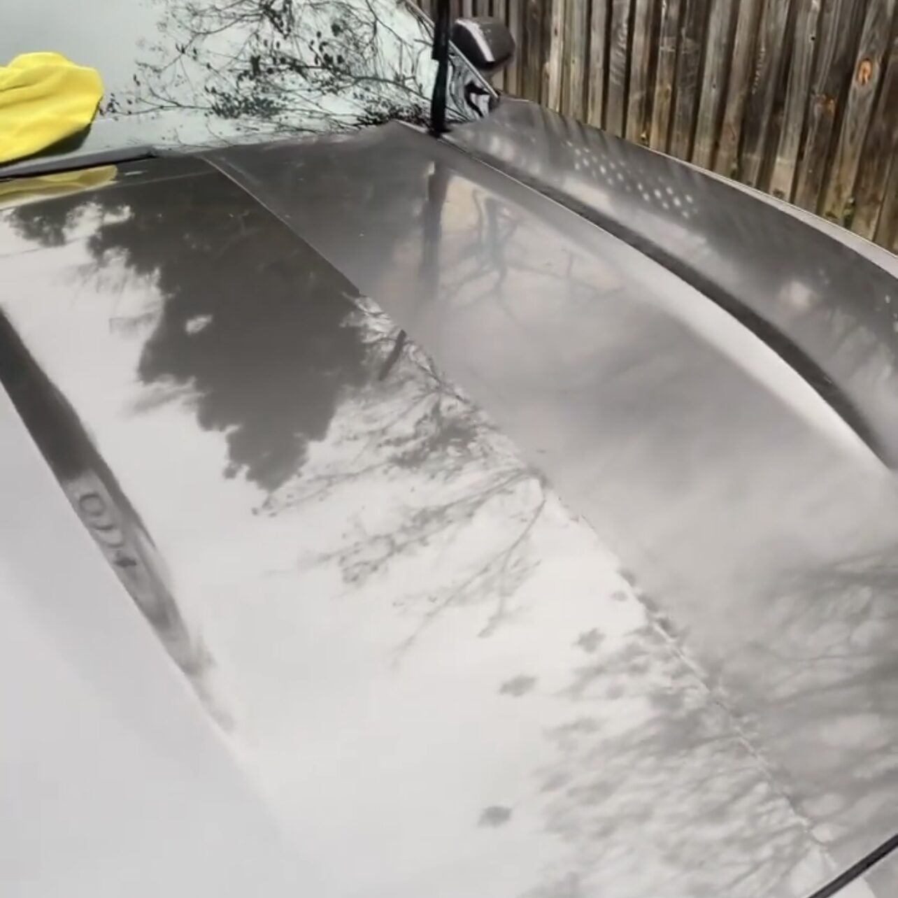 Deep gloss reflection on a freshly polished hood